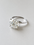 ANILLO SOLITARIO CLÁSICO | COTIZA TU PIEZA